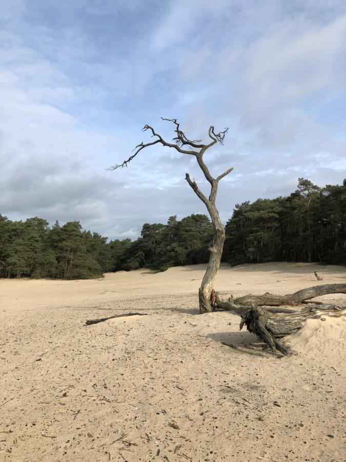 Bonte Specht Otterlo Exterior foto